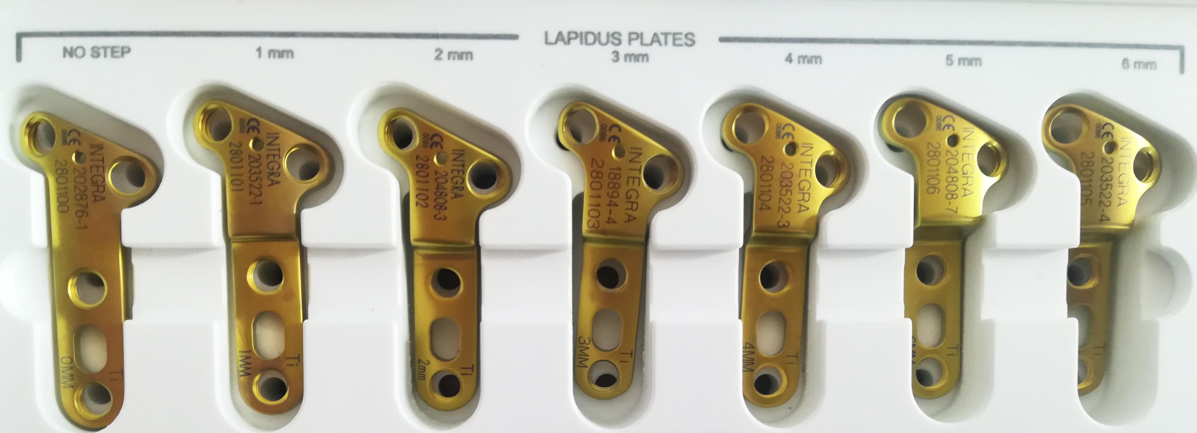 PLAI ARTRODEZA LAPIDUS